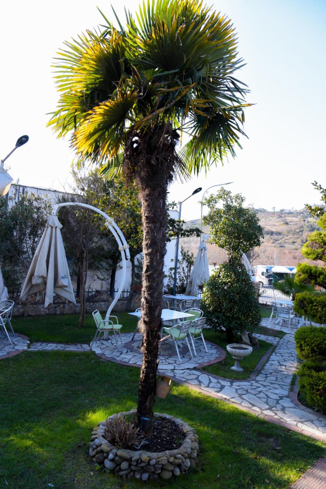 Hotel Restorant Halal Il Tramonto. Vorë Extérieur photo